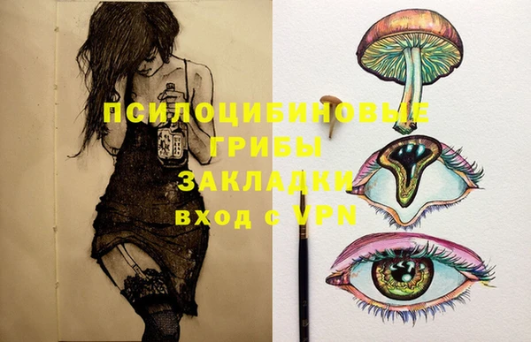 амфетамин Новодвинск