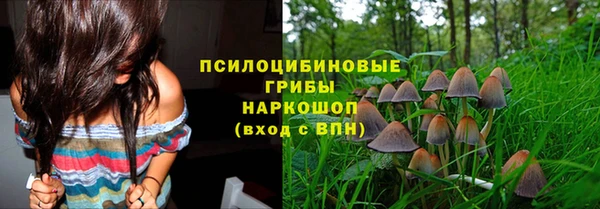 амфетамин Новодвинск