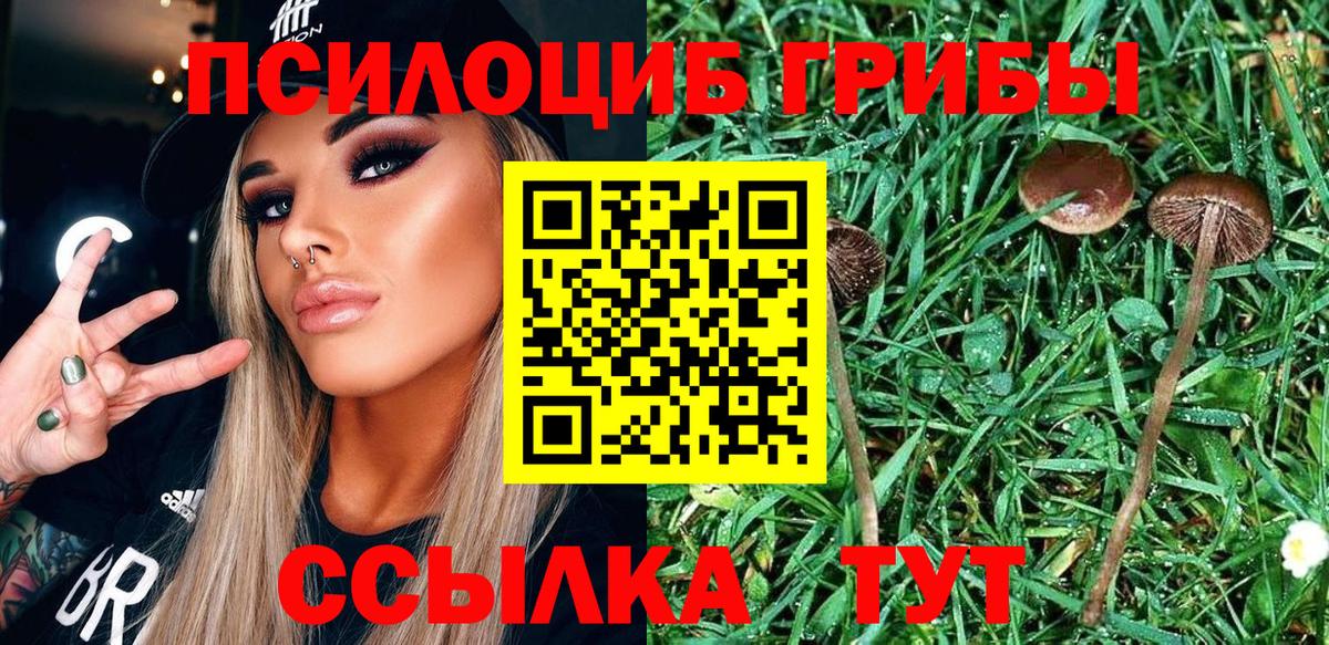 Галлюциногенные грибы мицелий Алушта